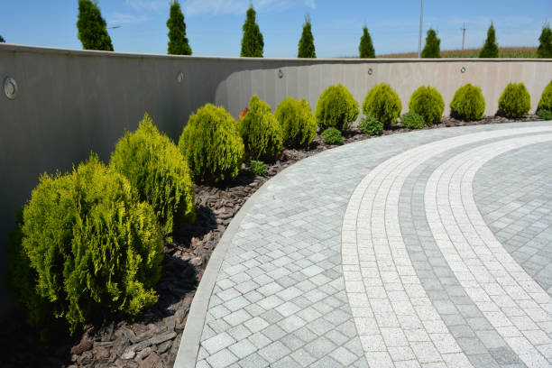Best Best Driveway Pavers  in Monticello, IA